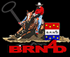 BRN4D